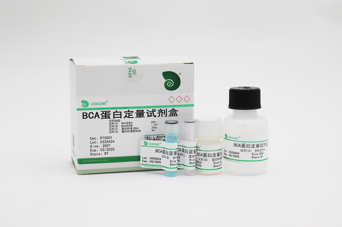 BCA蛋白定量試劑盒