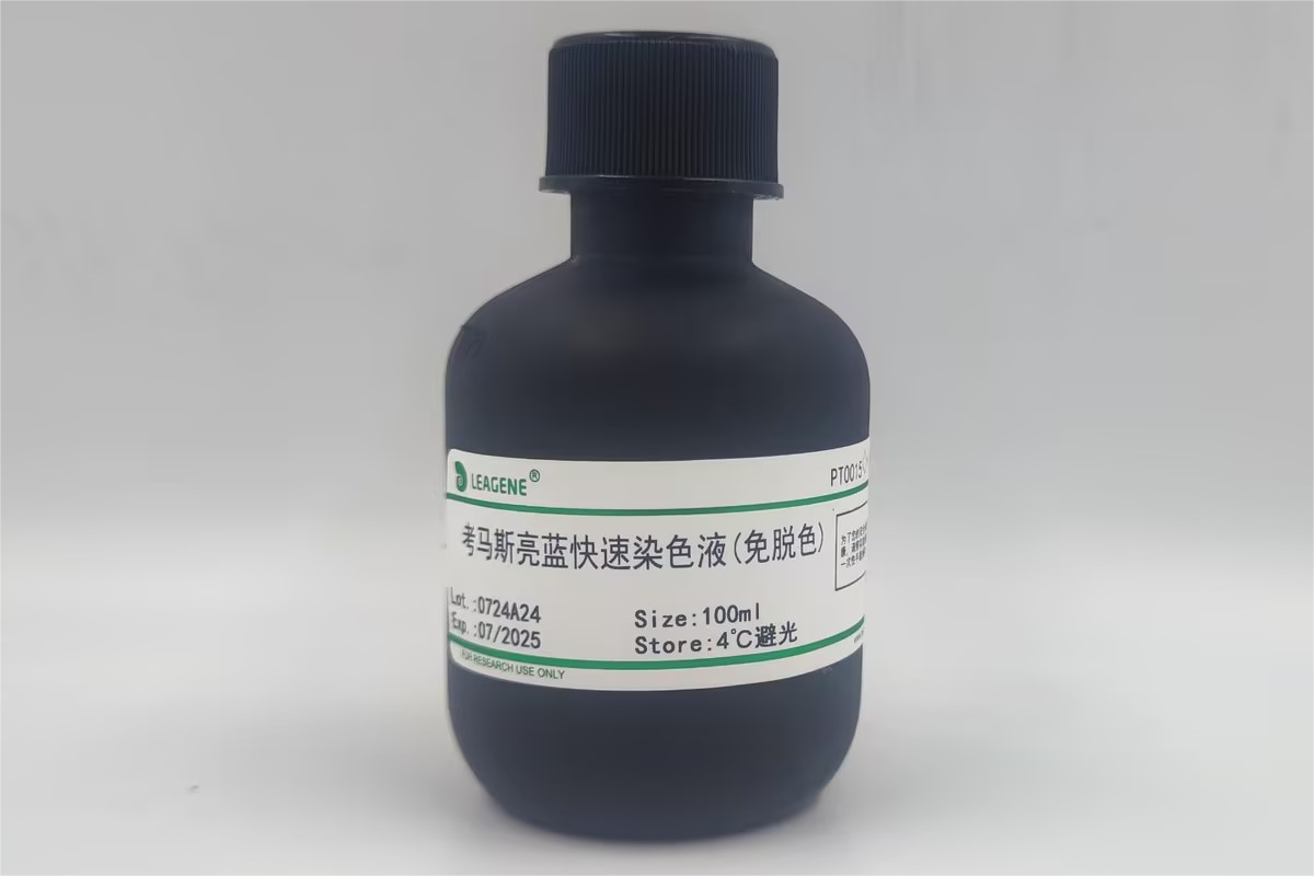 考馬斯亮藍(lán)快速染色液(免脫色)