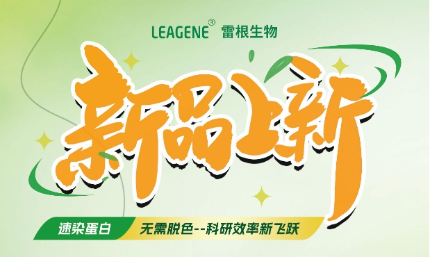 最新力作【考馬斯亮藍(lán)快速染色液（免脫色版）】，正式加入我們的產(chǎn)品家族！