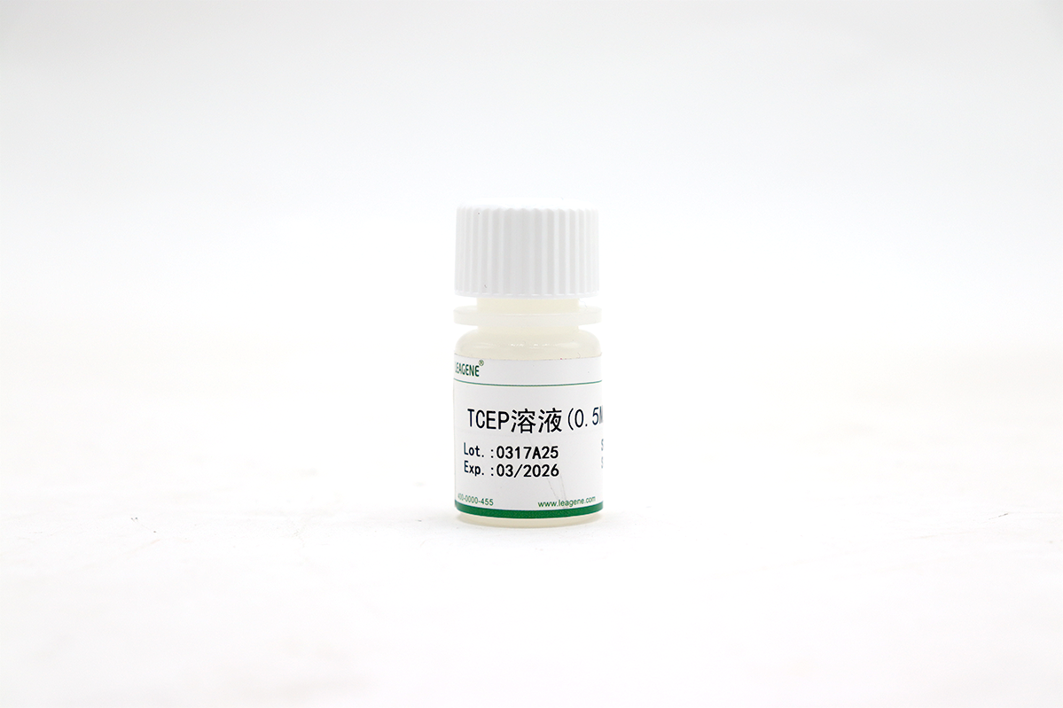 TCEP溶液(0.5M,pH6.8)