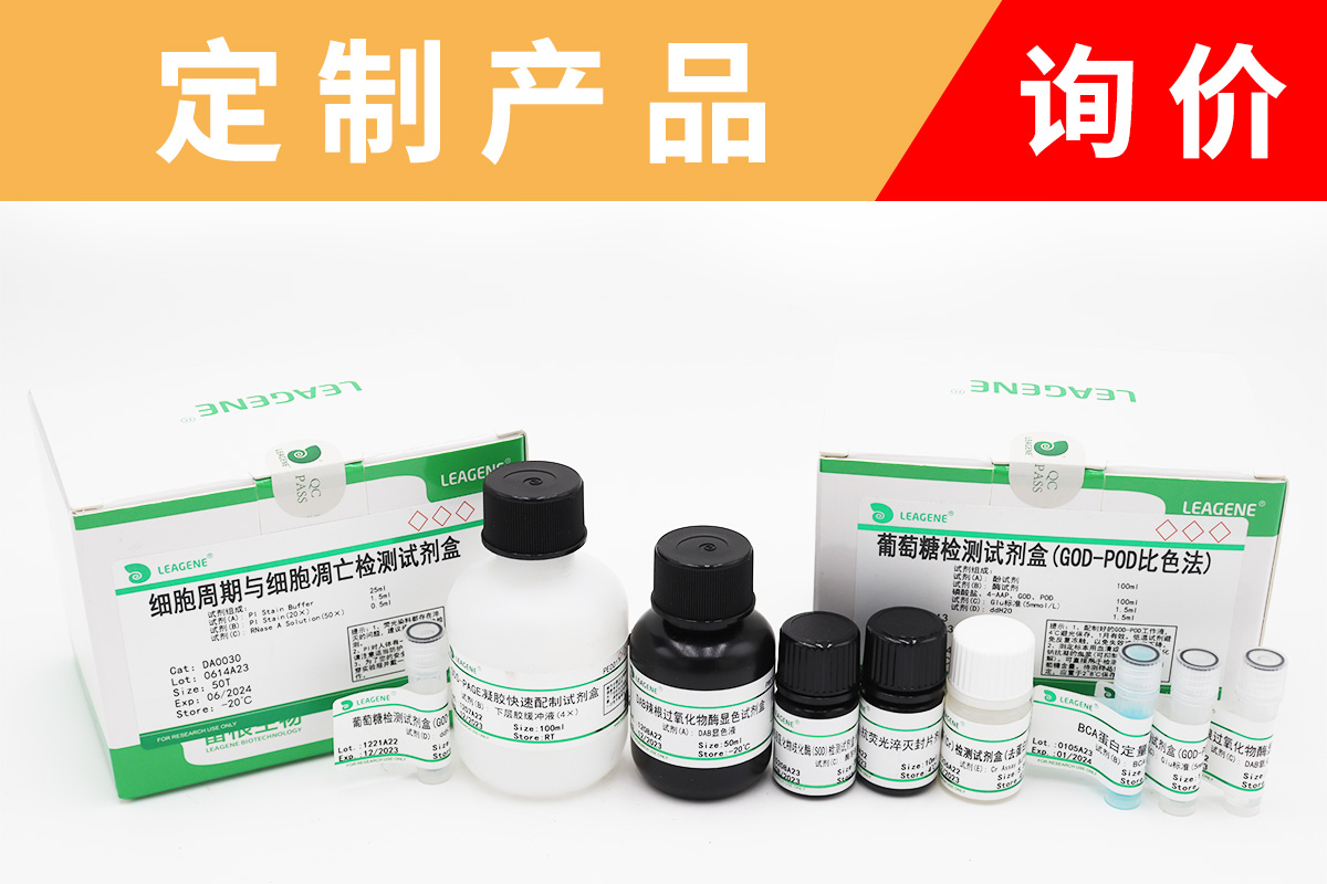 丁胺卡那霉素溶液(Amikacin,50mg/ml)